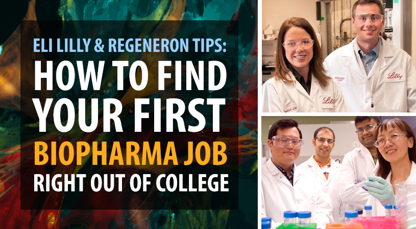 how to find a first job