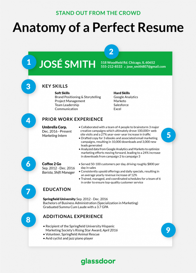 Anatomy of a perfect resume