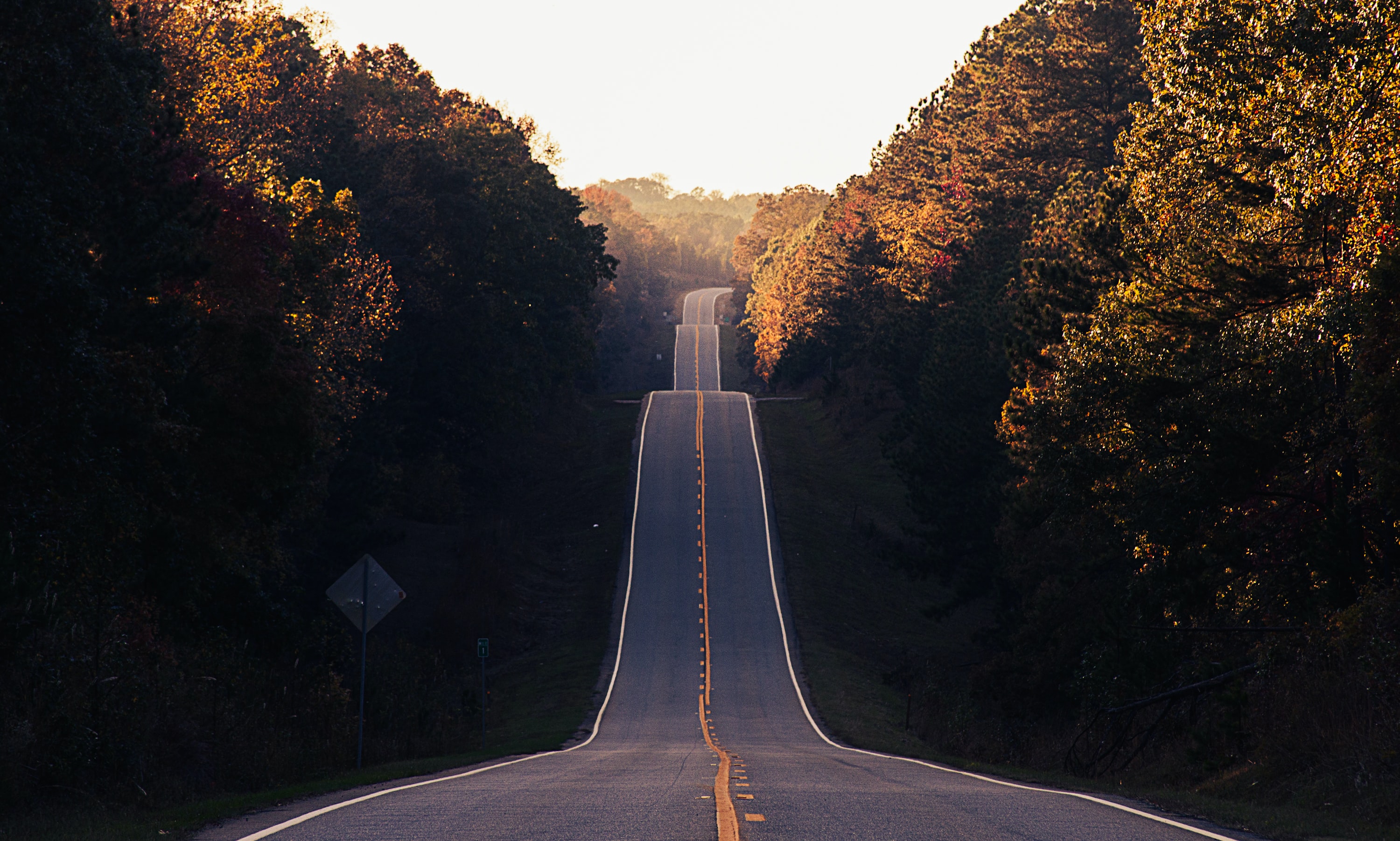 hilly road with fall foliage